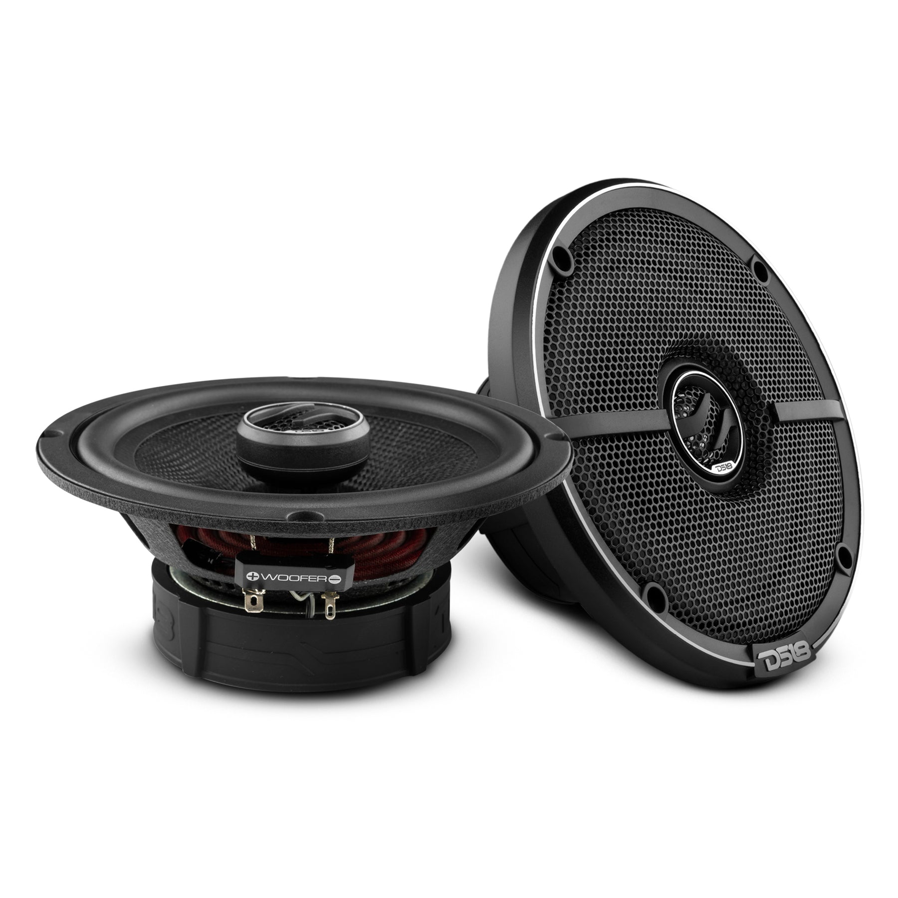 ZXI-654 speaker pair