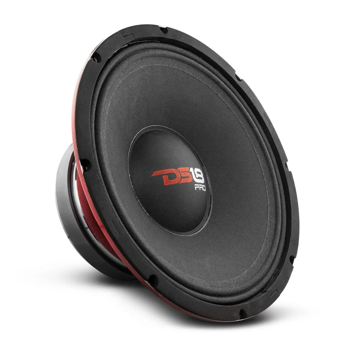 12" Midbass