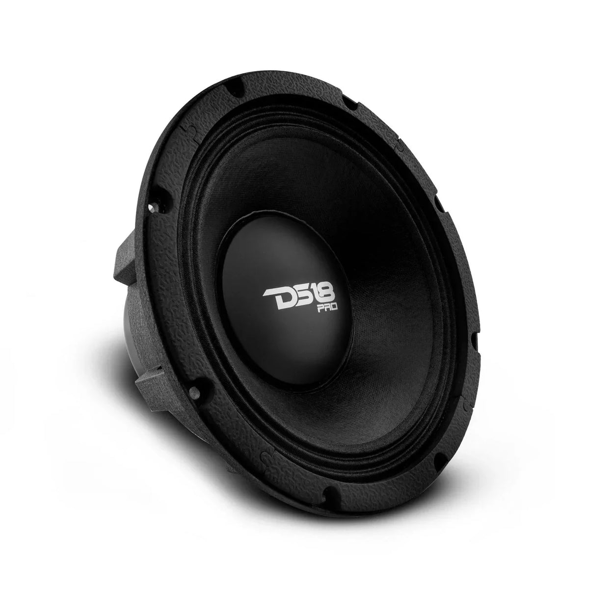 10" Midbass