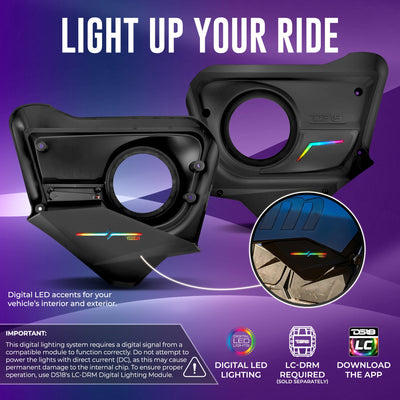 DS18 CA-X3BD6 rear door panels profile info 3