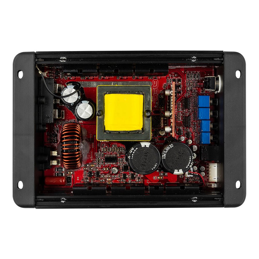 DS18 ION1200.1D internal board view