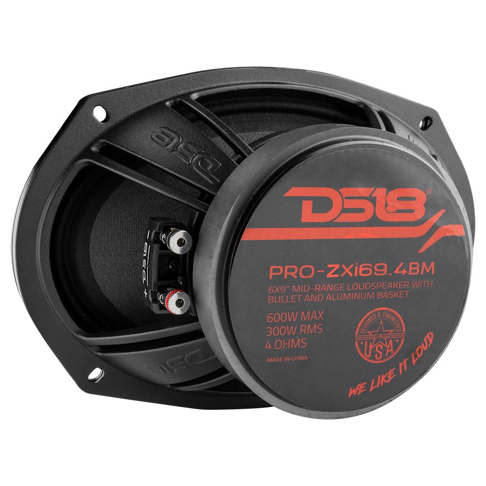 DS18 PRO-ZXI694BM rear view showing ferrite and neodymium magnets