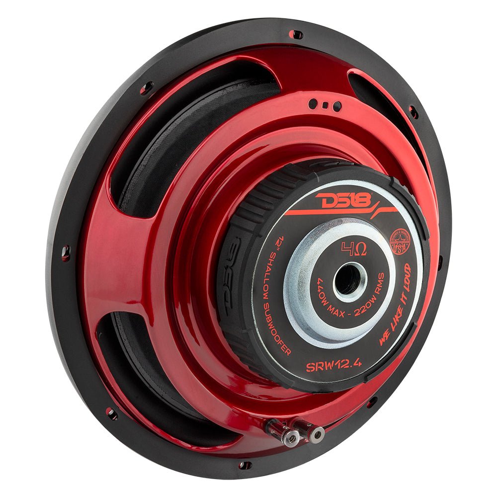 DS18 SRW12.4 12" subwoofer, additional view