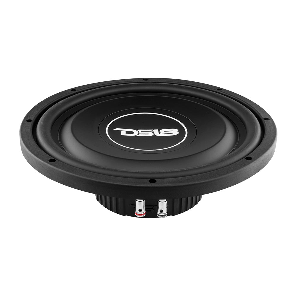 DS18 SRW12.4 12" subwoofer, additional view