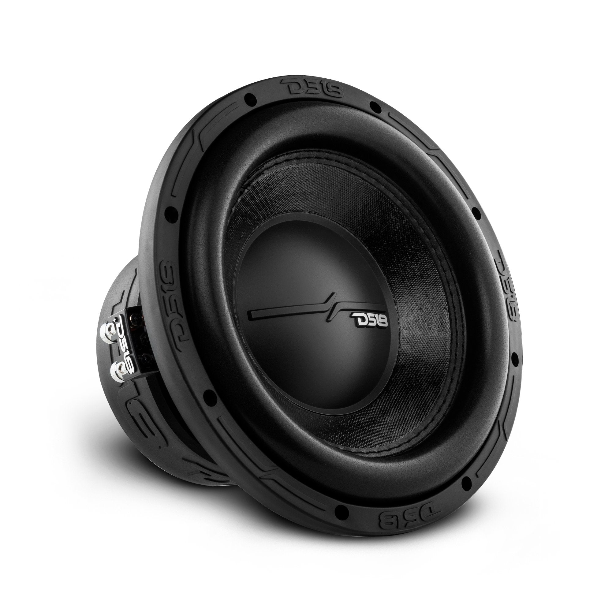 DS18 ZR10.2D 10 inch subwoofer dual 2-Ohm, angled right view