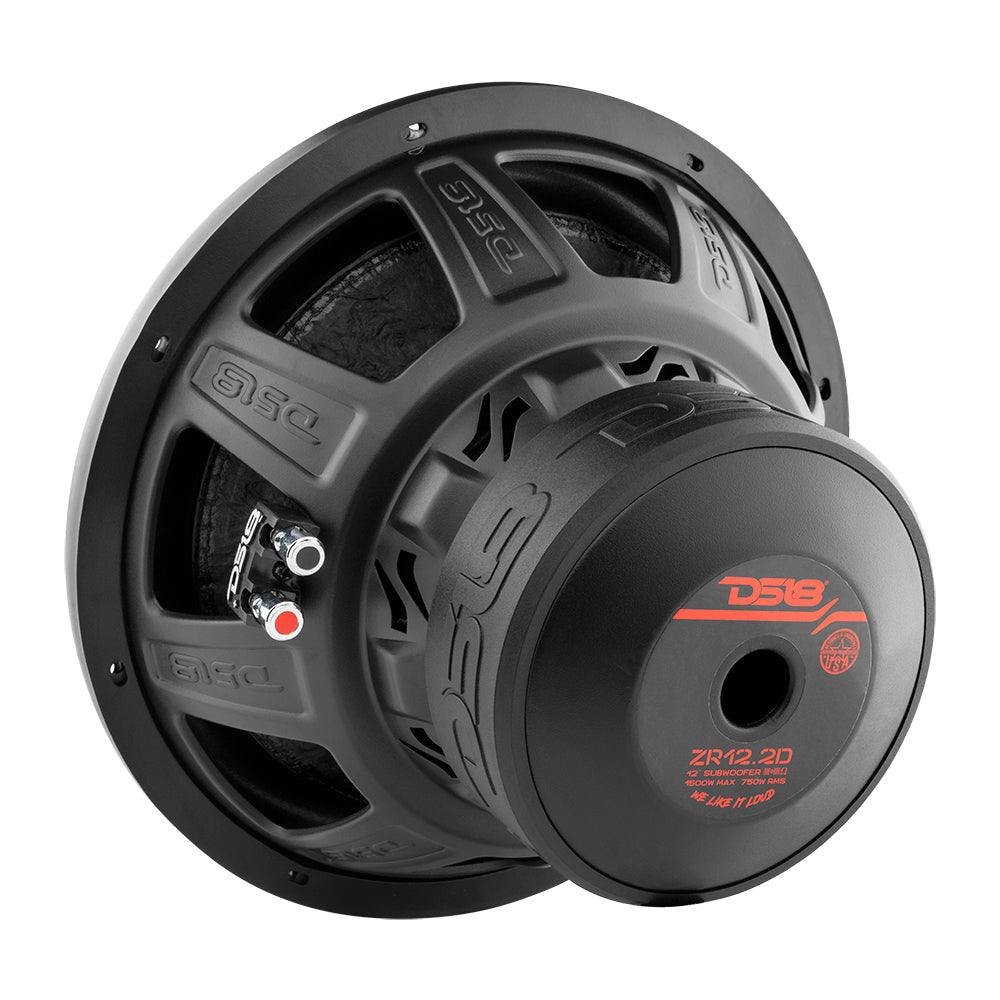 DS18 ZR12 12" subwoofer, additional view