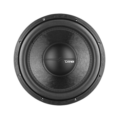 DS18 ZR12 12" subwoofer, additional view