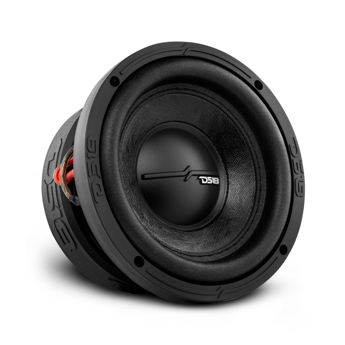 DS18 ZR6 6.5" subwoofer, three-quarter view