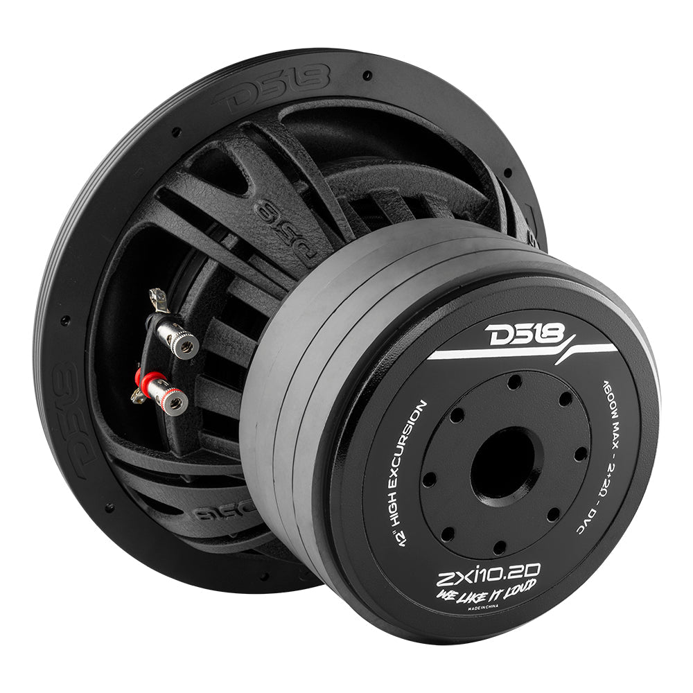 DS18 ZXI10 10-inch subwoofer rear view showing quad stacked ferrite magnet motor